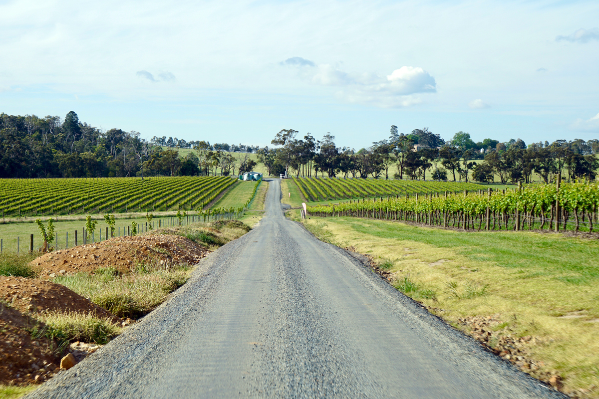 Yarra Valley Private Winery  Private Tour