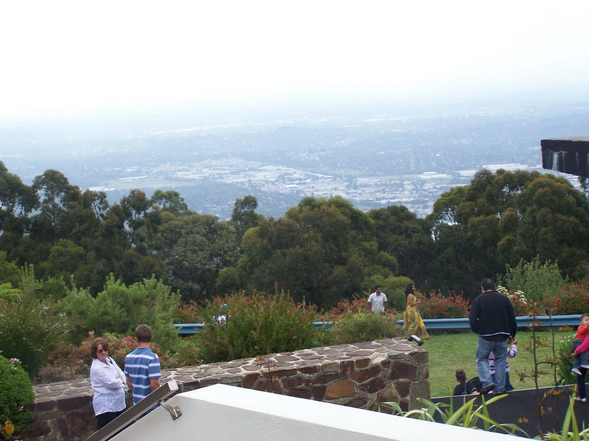 Puffing Billy Private Tour with Healesville zoo