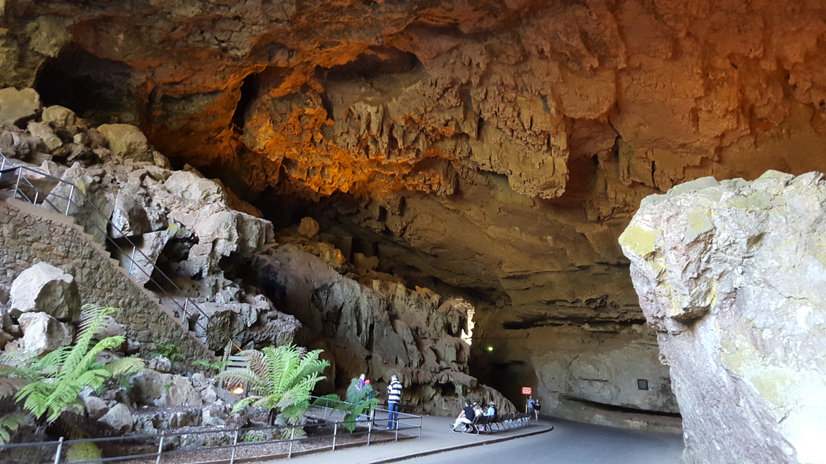 On Blue Mountains and Jenolan Caves Private Tour9