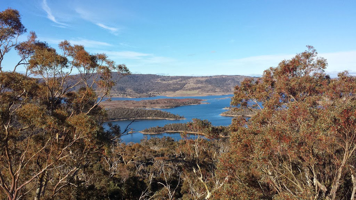 Tour to Snow Mountains & Canberra -  10