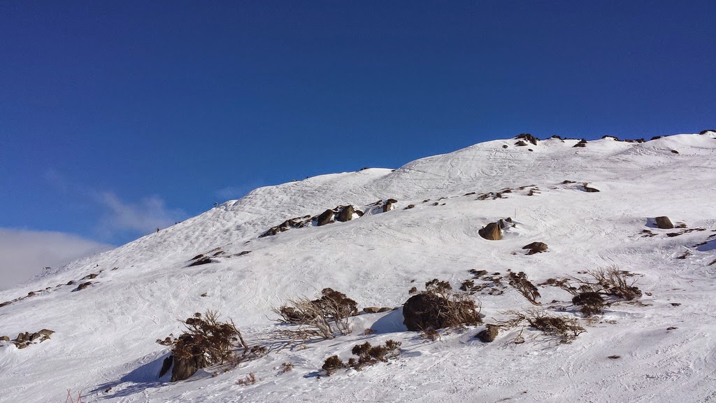 Tour to Snow Mountains & Canberra -  14