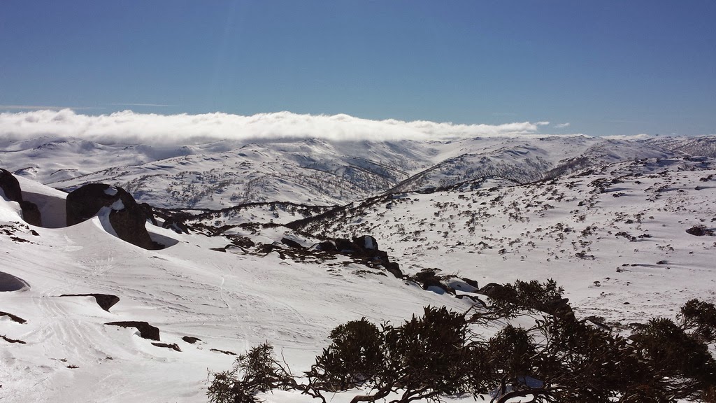 snowy mountain tour from canberra