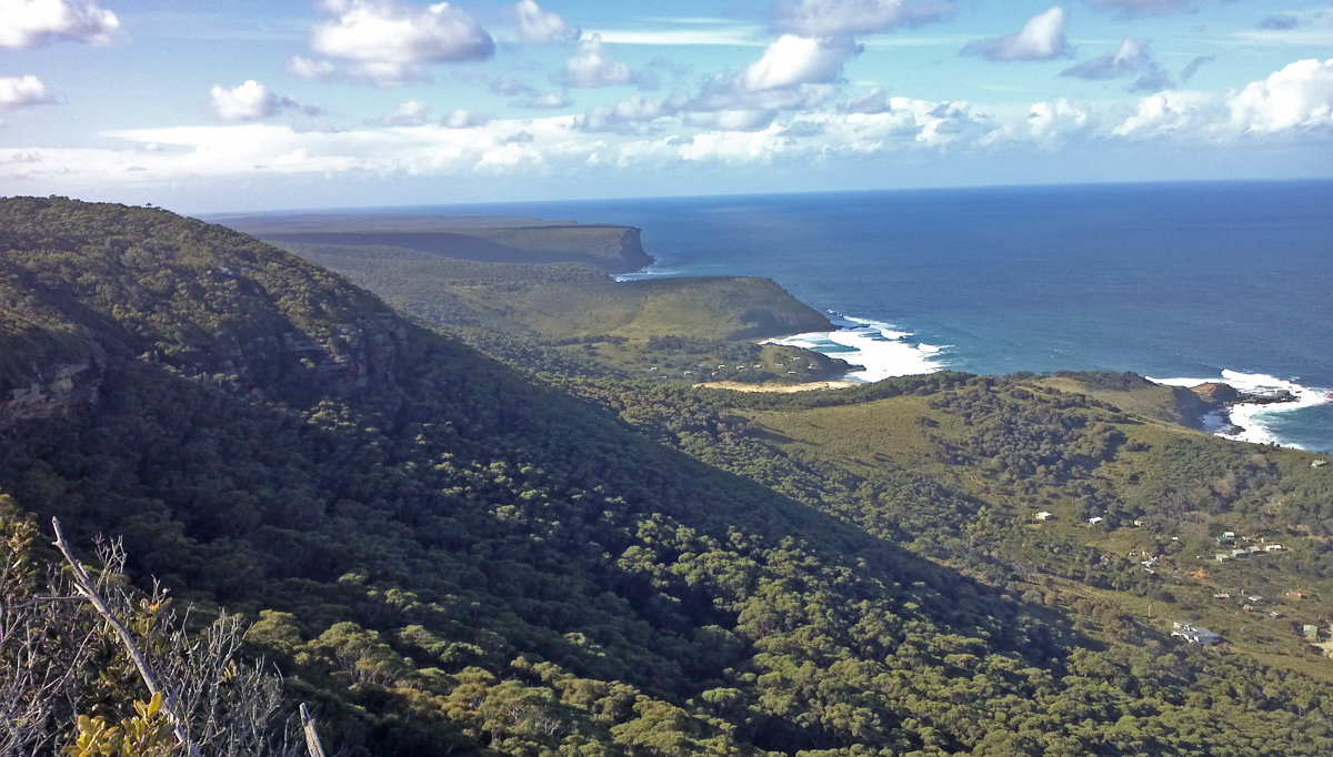 On Bushwalk in Royal National Park Photo13