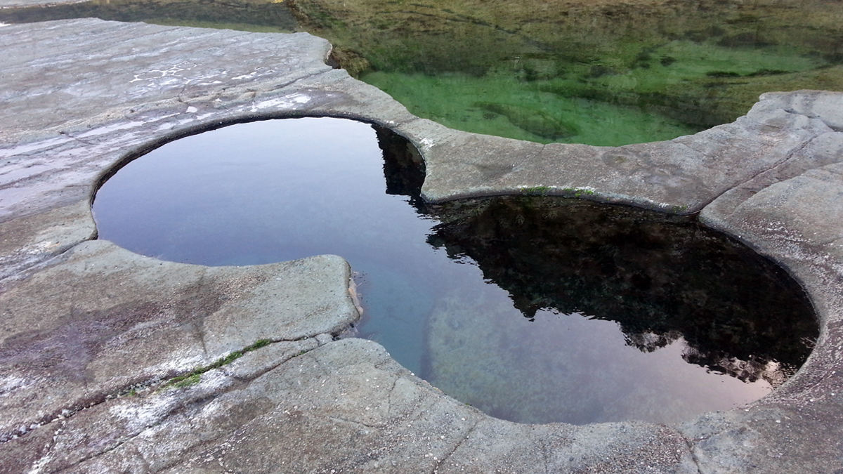 On Bushwalk in Royal National Park Photo16