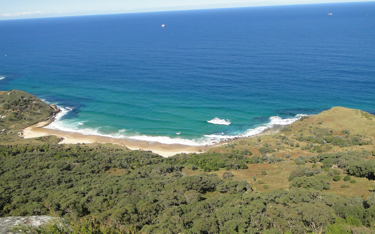 On Bushwalk in Royal National Park Photo5