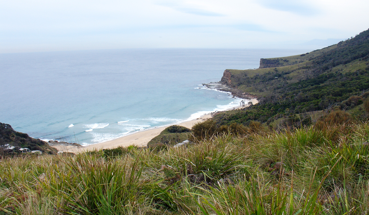 On Bushwalk in Royal National Park Photo7