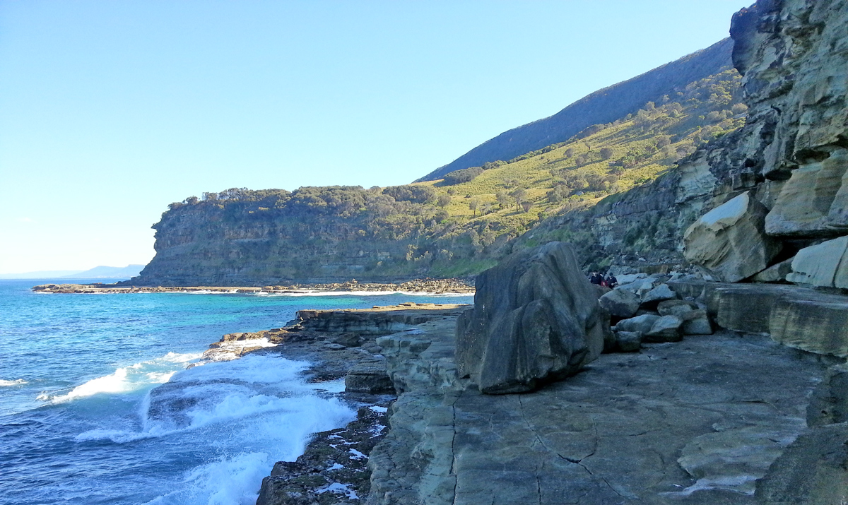 On Bushwalk in Royal National Park Photo9