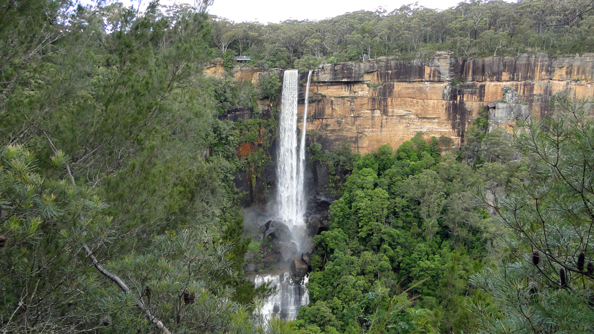 Tour to Waterfalls and Rain forest Tour Photo12