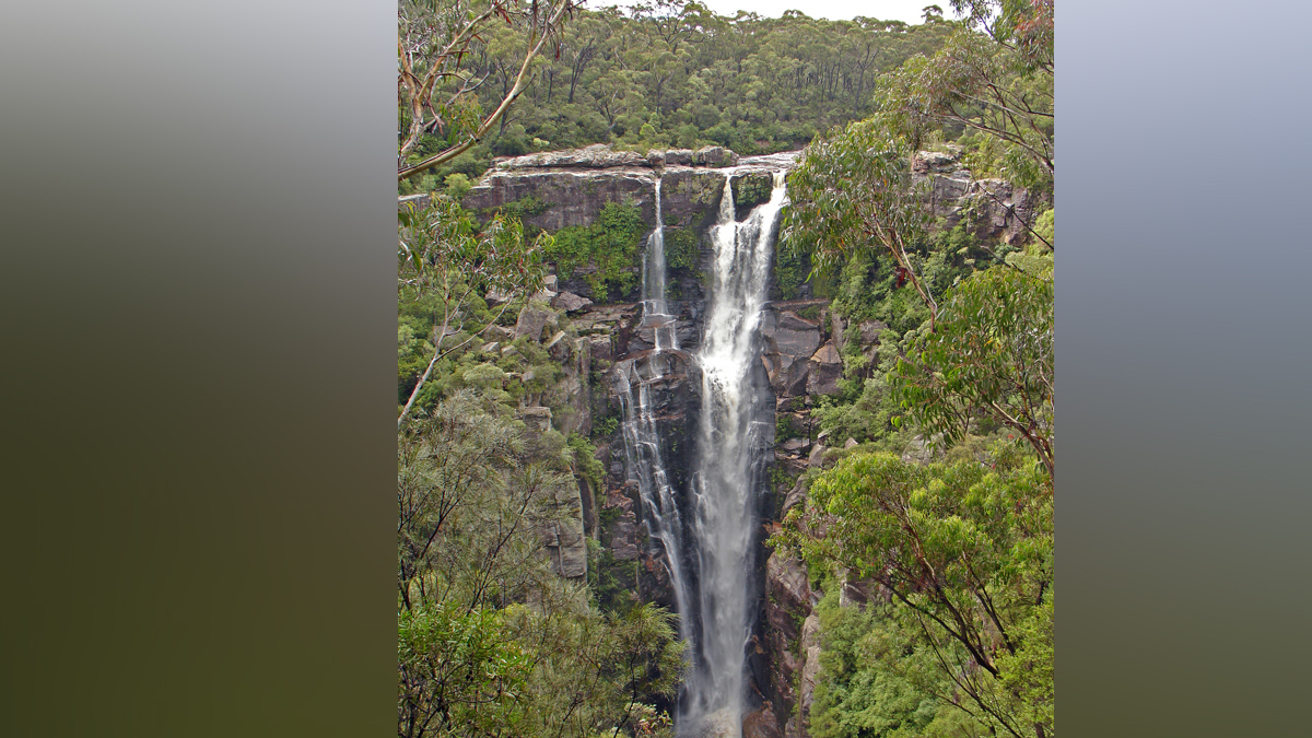 Tour to Waterfalls and Rain forest Tour Photo13