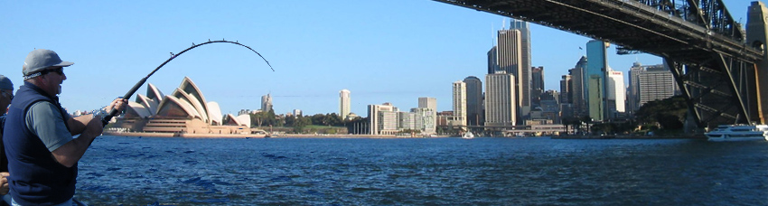 sydney harbour bridge fishing panorama