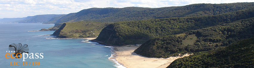 Coastal panorama in Royal National Park