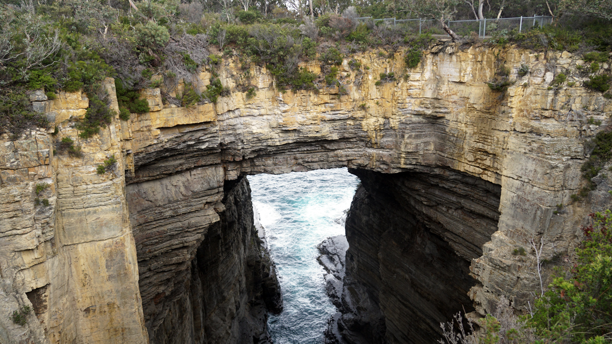 Tasmania Private Tour