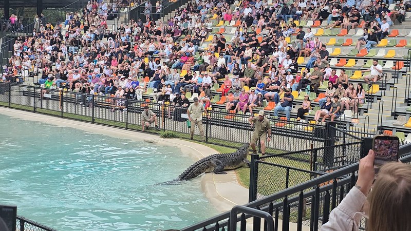 Crocodile show at Australia Zoo with full grandstand seating around the lagoon