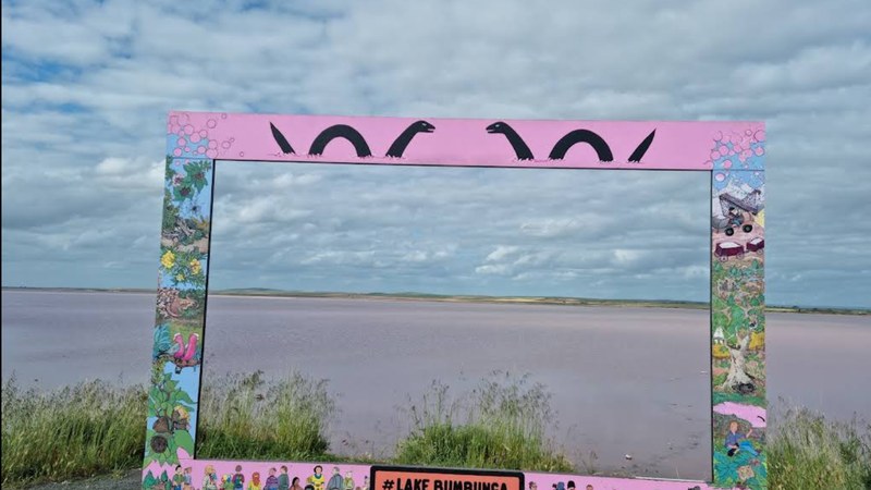 Lake Bumbunga pink salt lake behind the painted photo frame at Lochiel
